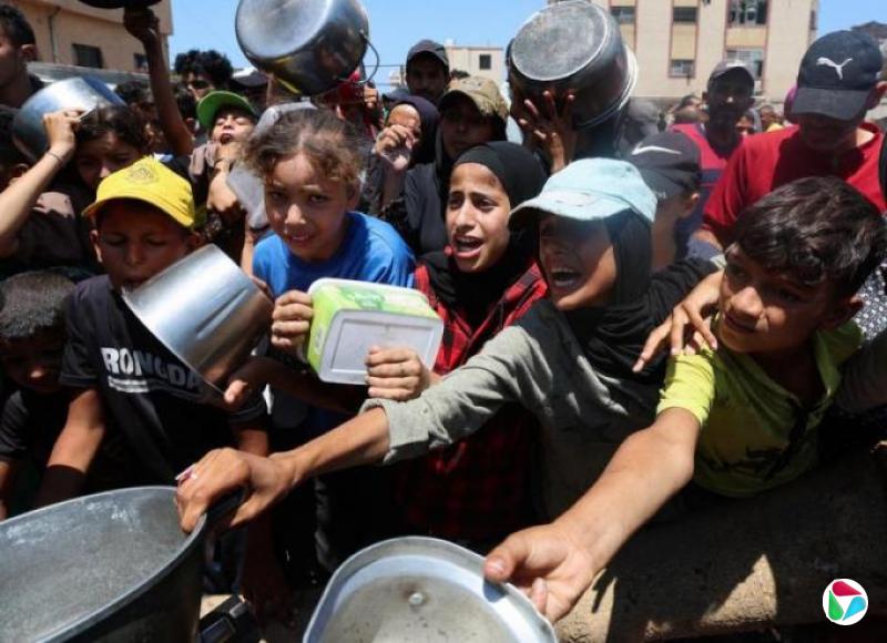 法外长敦促以色列允许外媒出入加沙地带