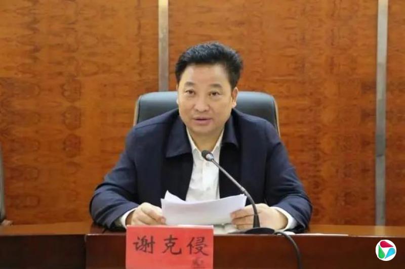 谢克侵,主动投案