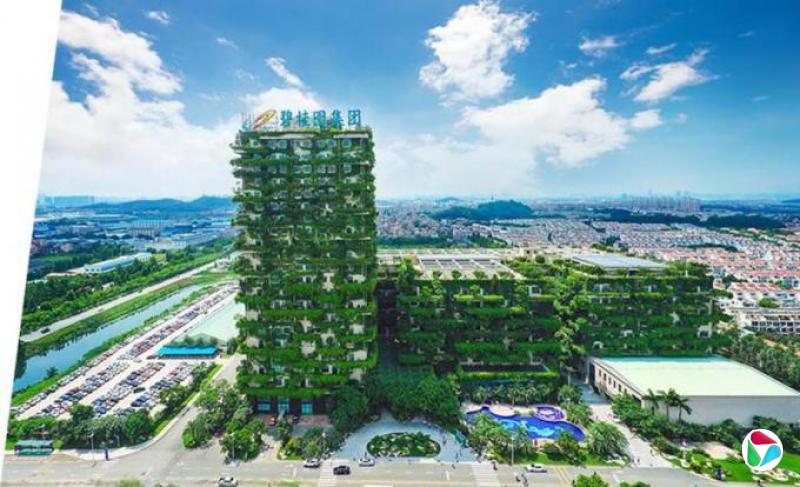 清盘聆讯在即 碧桂园传年底前完成境外债务重组