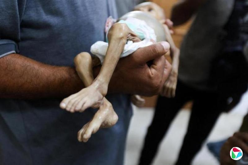 各方施压下 以色列终向加沙放行救援物资并局部停火