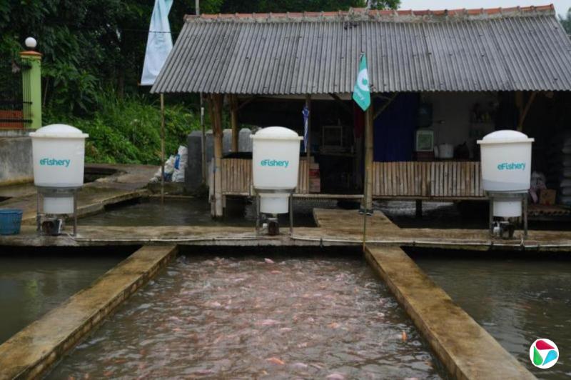 涉财务造假 印尼eFishery创办人胡赛法被捕