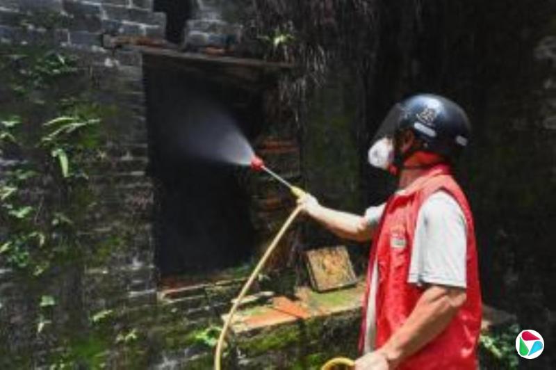 台湾上调广东旅游疫情建议等级 吁民众落实防蚊措施