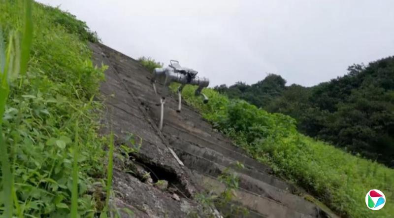 宇树科技发布新款机器狗A2 最快速度每秒五米