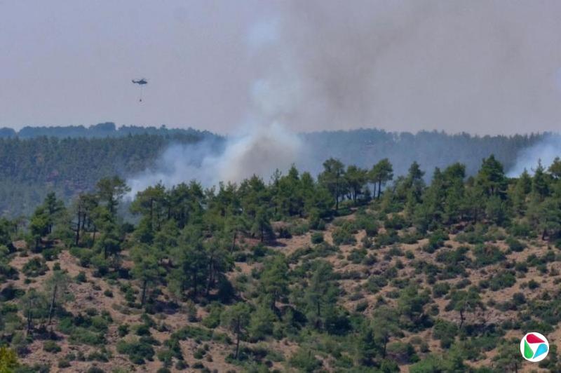 野火扑灭后 土耳其宣布重要航道重开