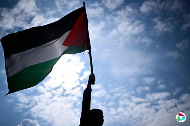 新西兰考虑承认巴勒斯坦国 将于9月做出正式决定