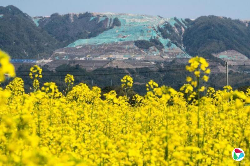 宁德时代大锂矿停运至少三个月