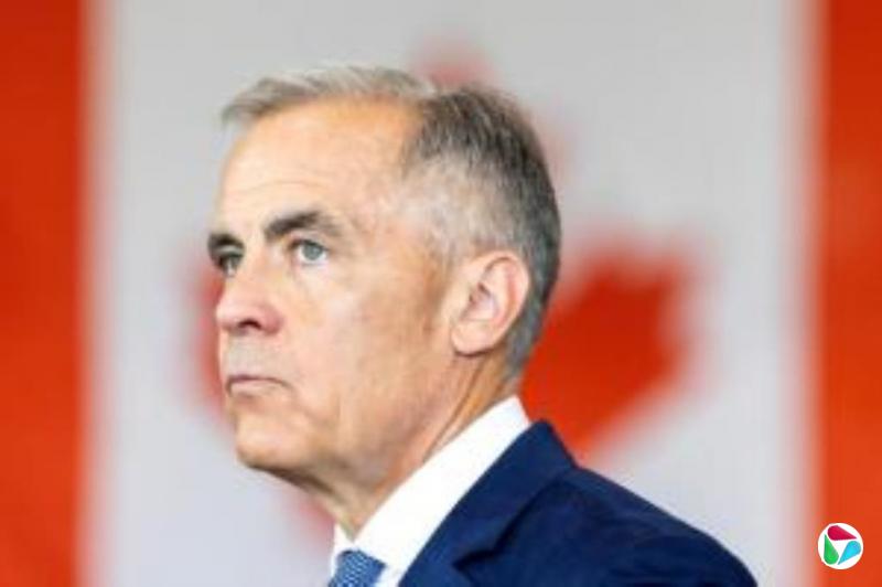 中国今起对加拿大豌豆淀粉发起反倾销调查