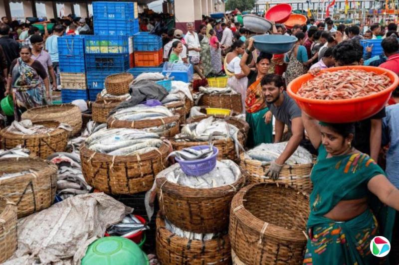 知情者:印度高额关税生效前 美国取消谈判