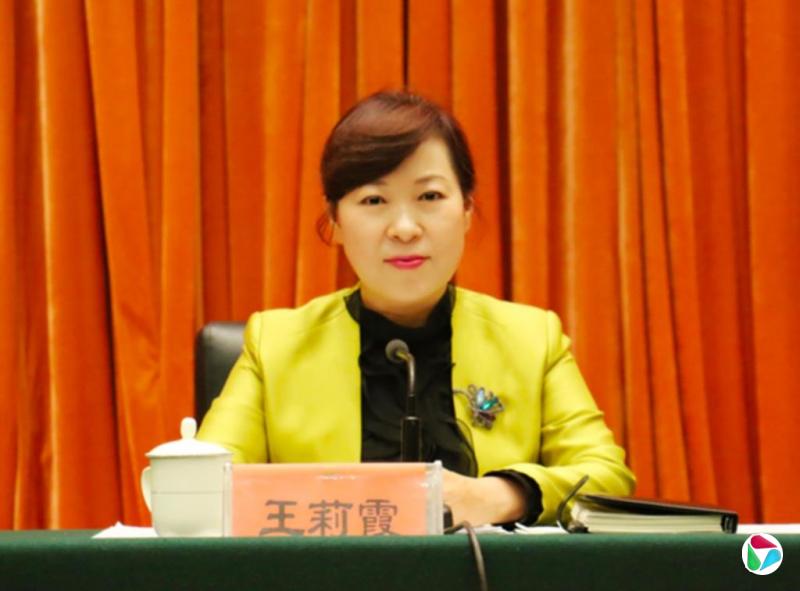 内蒙古自治区政府主席王莉霞被查