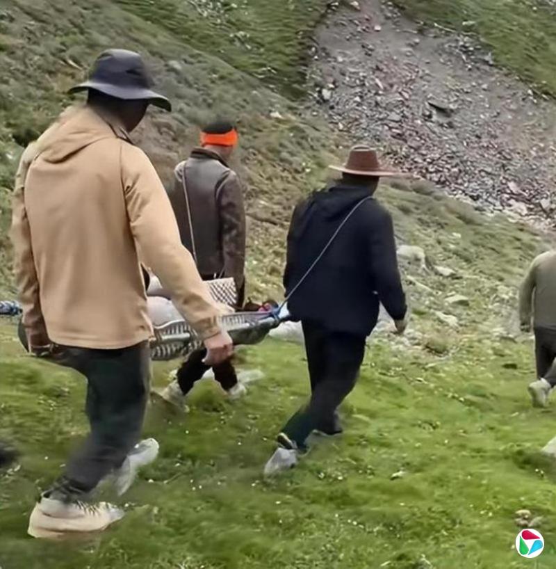 下午察:抬人上下山收费上万人民币合理吗?