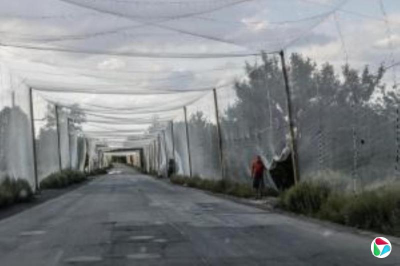 泽连斯基称收到习近平发来乌独立日贺信