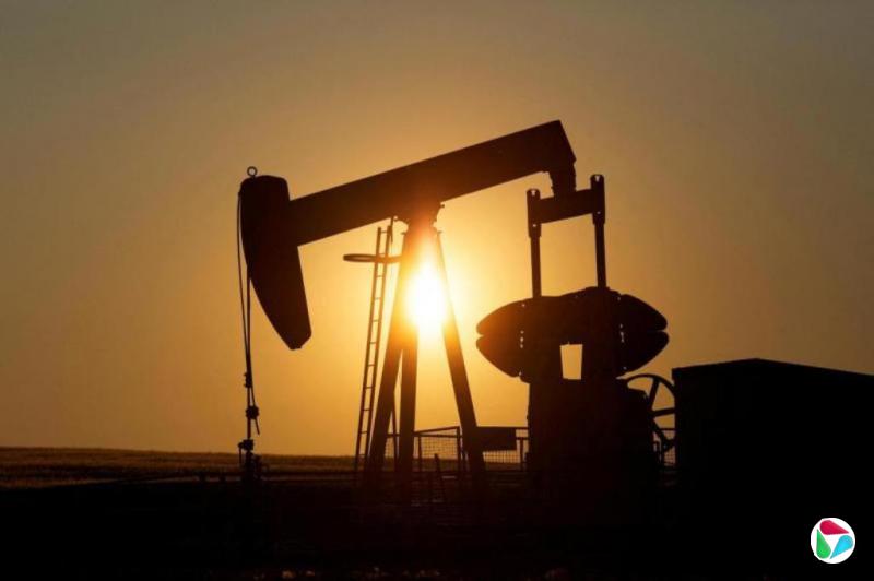 ʢԤͼ2026׵ÿͰ50Ԫͷλ