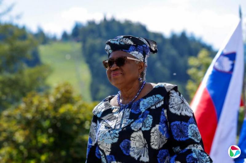 世贸总干事呼吁加强全球贸易基础