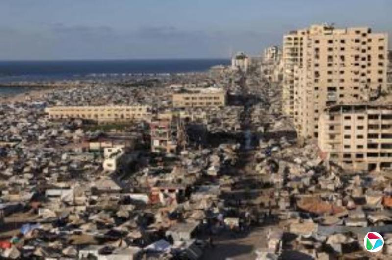 中国外交部:中方同意加入《纽约宣言》