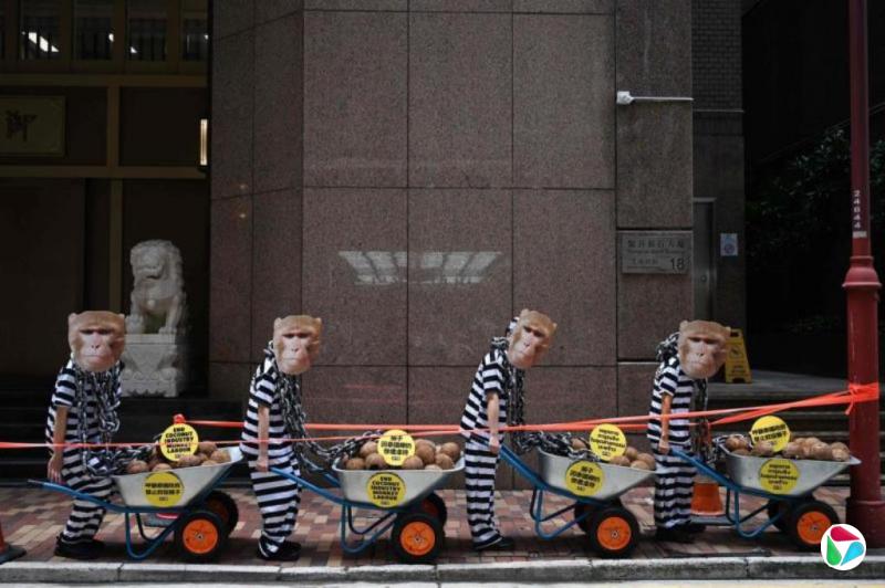 君不见:猴子的抗议