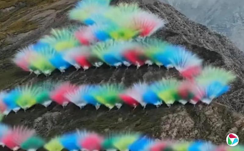 日喀则已成立调查组调查烟花秀事件