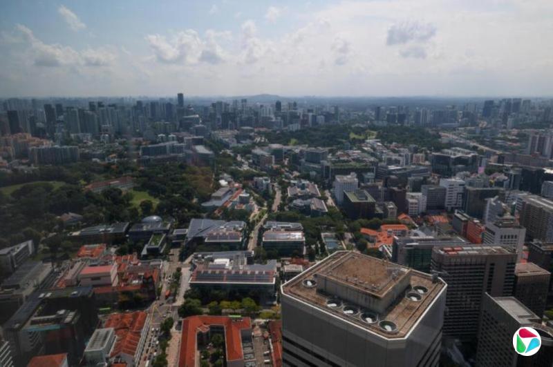 占绍香:企业是国家税收发动机
——从2024财年税收年报谈起