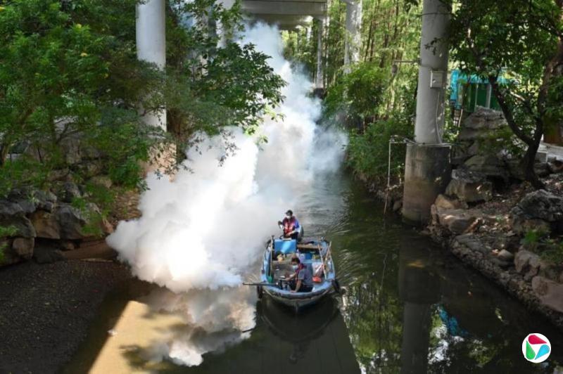 广东江门基孔肯雅热疫情反弹 一周增2238例