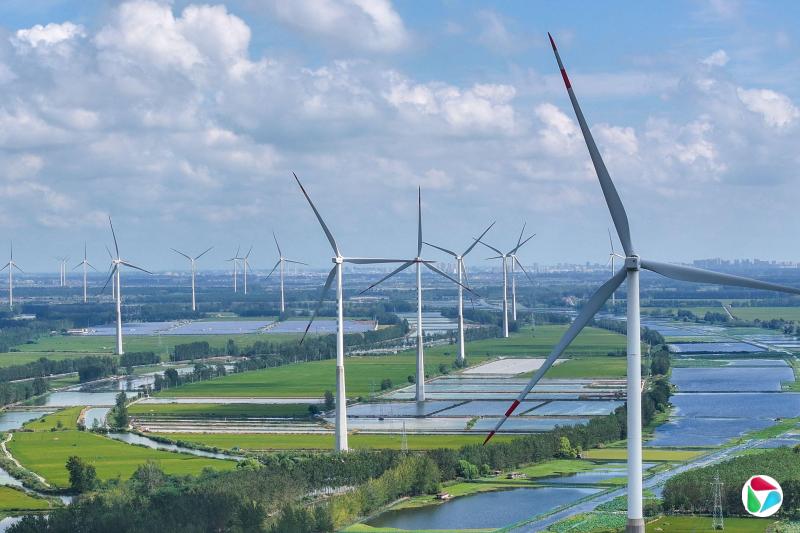 中国提前六年实现2030年风能和太阳能目标。图为9月22日拍摄的中国江苏省淮安市金湖县的风力涡轮机。(法新社)