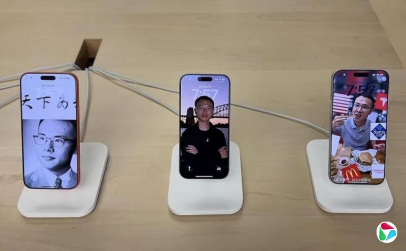 下午察:被清朗的户晨风和张雪峰