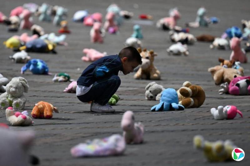 君不见:绒毛玩具的静默控诉