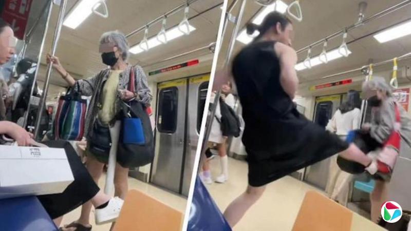 下午察:台北捷运上被踢飞的老妇