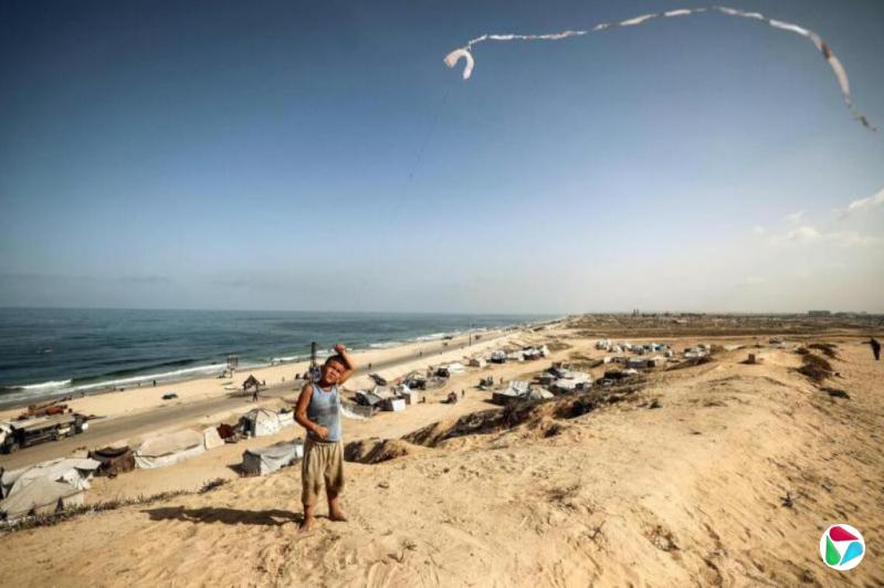 哈马斯接受部分特朗普和平计划 解除武装等棘手问题仍悬而未决