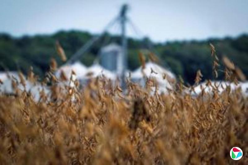 中国对稀土相关技术实施出口管制