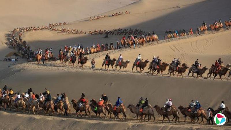 2025106չڼڼ䣬ڸʡȪжػɳɽȪο101ΪڰĹڿʼйĿĵط׷ӭο͸߷塣