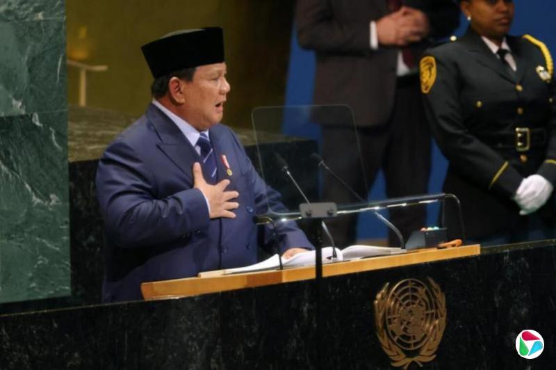 麦思·仁尔:东南亚海洋国家支持以巴两国方案