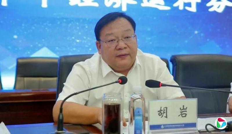 副厅级胡岩,跑官买官、向他人行贿