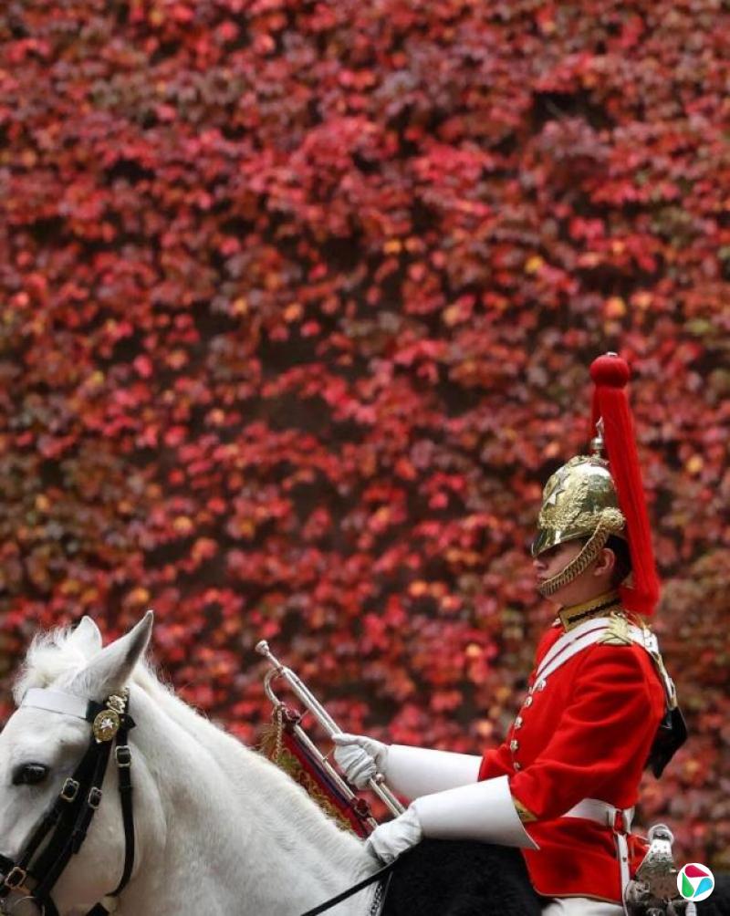 薛之白:欧洲的价值