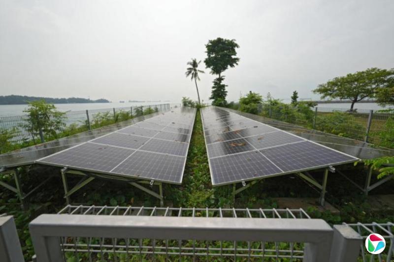 周小乐:跨境售电是能源安全与合作新篇章