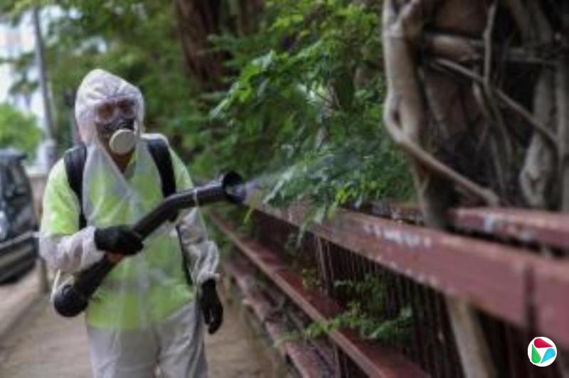 香港录得首起基孔肯雅热死亡病例
