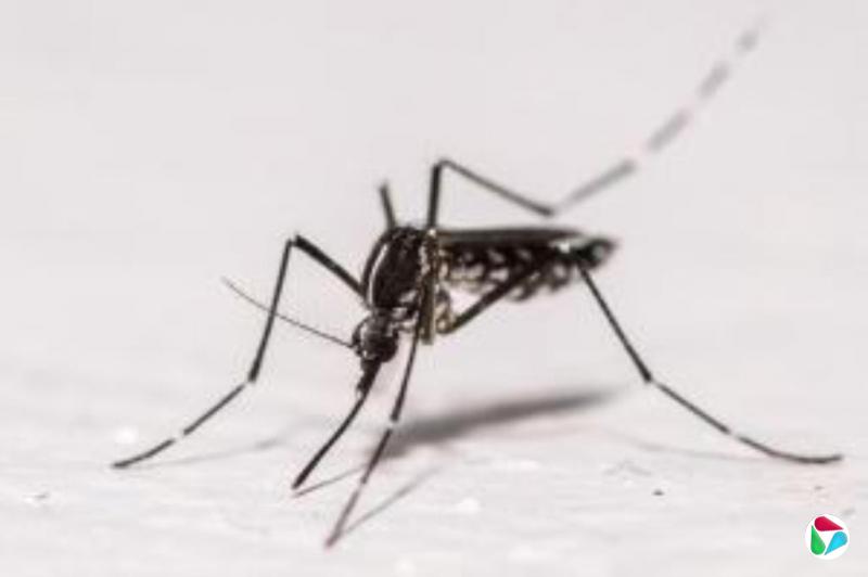 广东江门疫情防控策略转为常态化防控