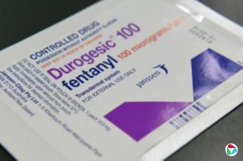 习近平:中国从未想挑战谁 中美不应陷入相互报复恶性循环