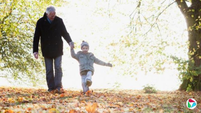 一位年长的绅士与年幼的孙子在秋日落叶中散步,阳光照耀着背景中仍紧贴树枝的绿叶——他们都穿着保暖外套。