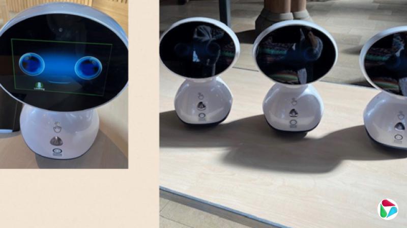 “精灵”(Genie)声控机器人:一种顶部有椭圆形萤幕的小型机器人