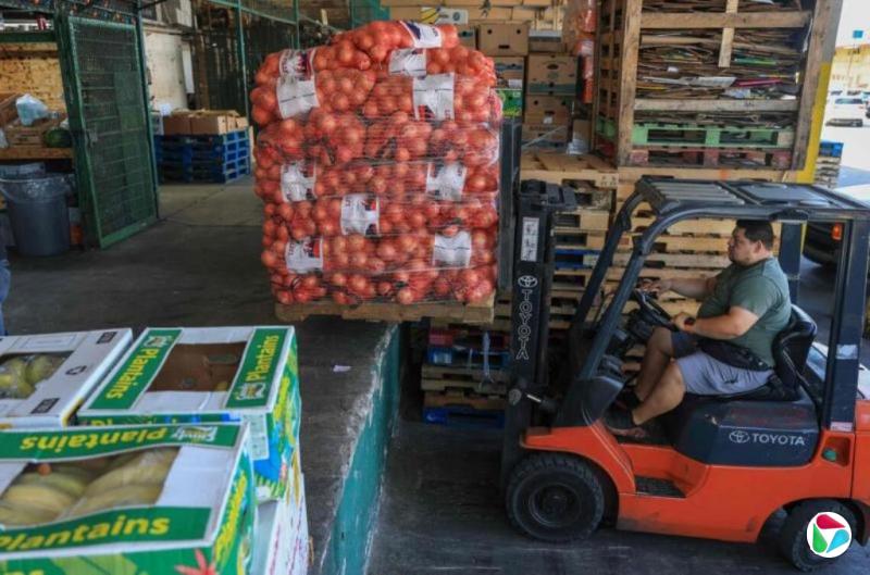 应对民众对物价高企焦虑 特朗普豁免上百样食品关税