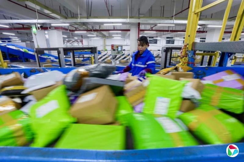 Ӯ˫ʮһ10꣺ӿ񻶵Ѿ