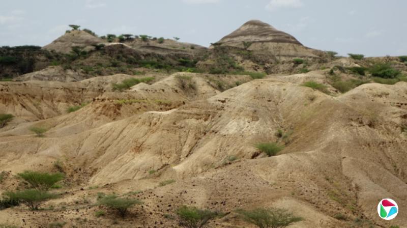 图片呈现出一片广阔干燥的景观,遍布着浅褐色与沙质的丘陵,坡度平缓并夹杂着侵蚀形成的沟壑,点缀着零星的绿色灌木与稀疏的树木。背景中可见几座圆顶形的山丘与斑驳的植被,天空呈淡蓝色,飘着稀疏而轻盈的白云。整体景象干燥而崎岖,唤起一种由早已消逝的水流所塑造的古老地貌感。