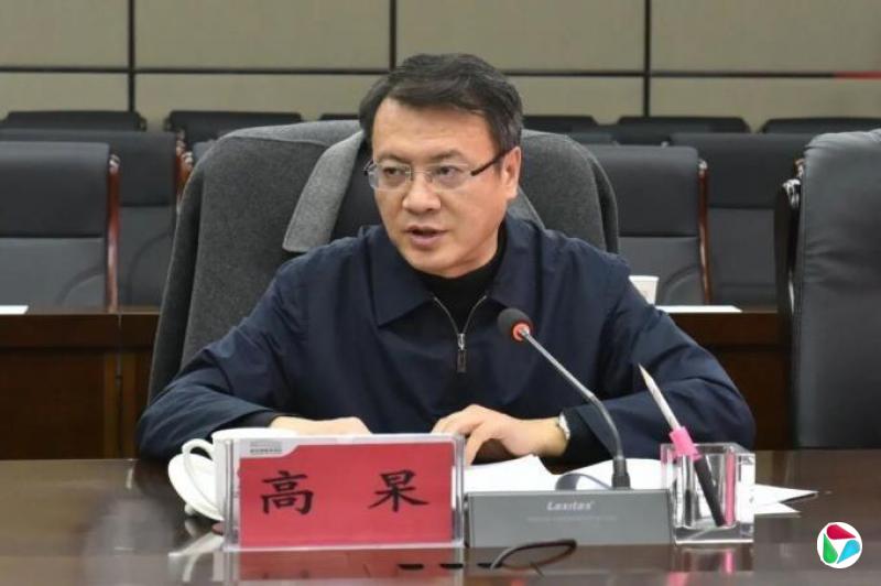 中央决定:高杲任中国矿产资源集团总经理