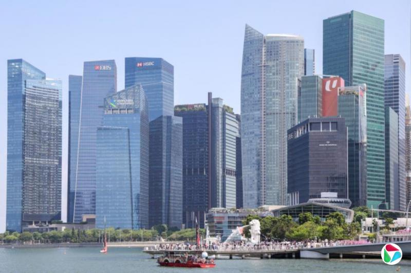 ĵtУֹڲƸӡStewardship̸塢ҵ