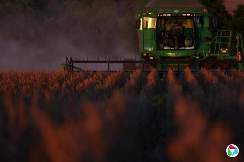 中国因卫生问题暂停部分巴西大豆进口