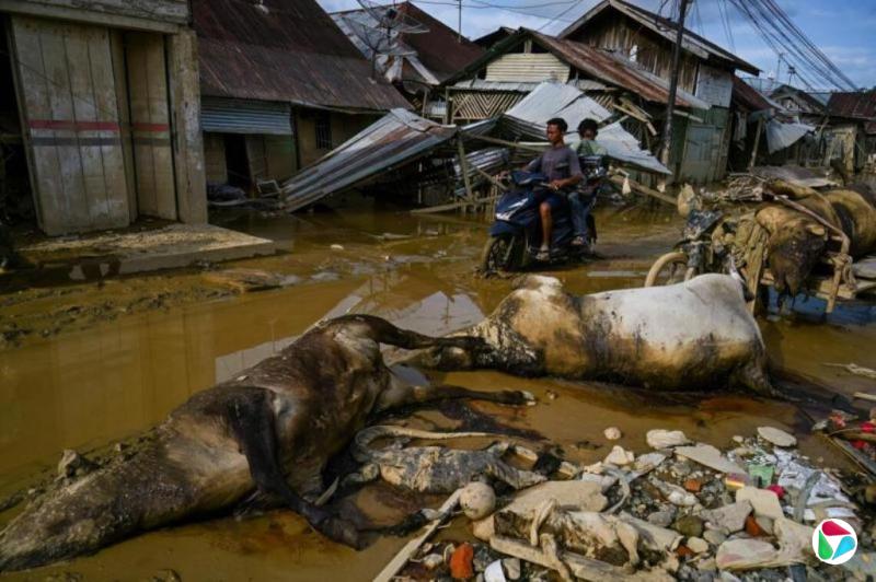 印尼洪灾后疾病肆虐 医院瘫痪难救治