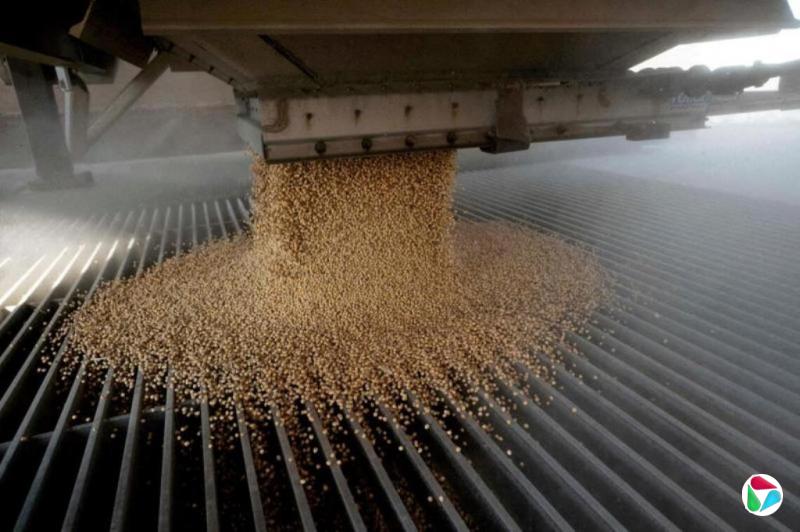 中美贸易协议推动下 中国11月大豆进口量创四年新高